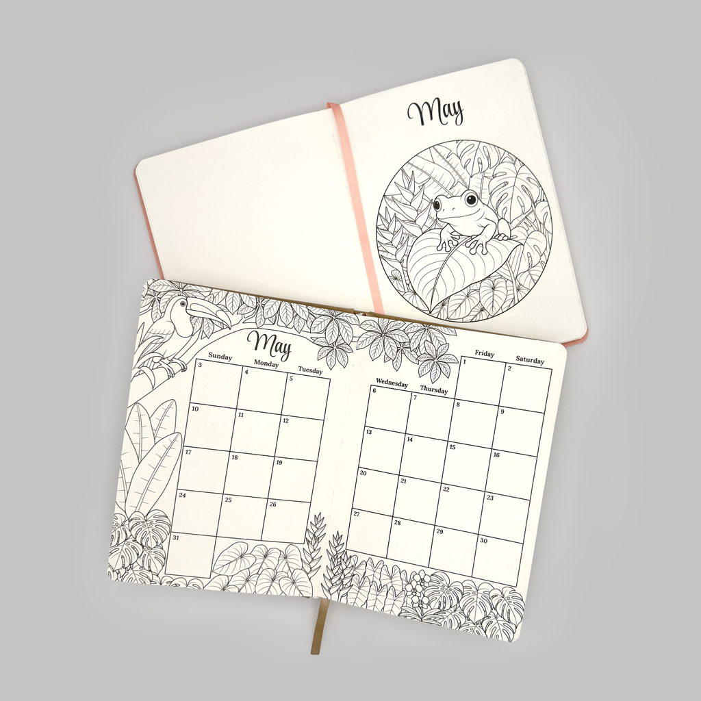 Everyday Bullet Journal 2026